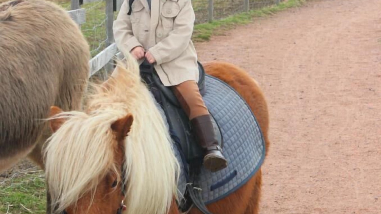 Photo of Others in Montpeyroux