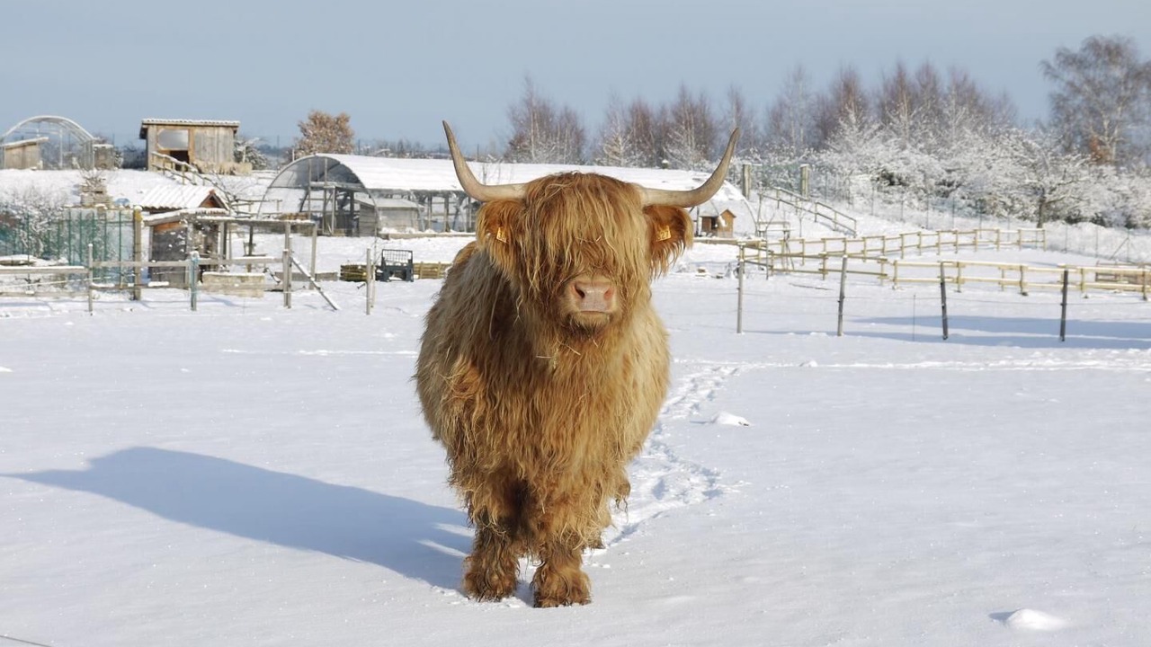 Photo of Outdoor in Montpeyroux