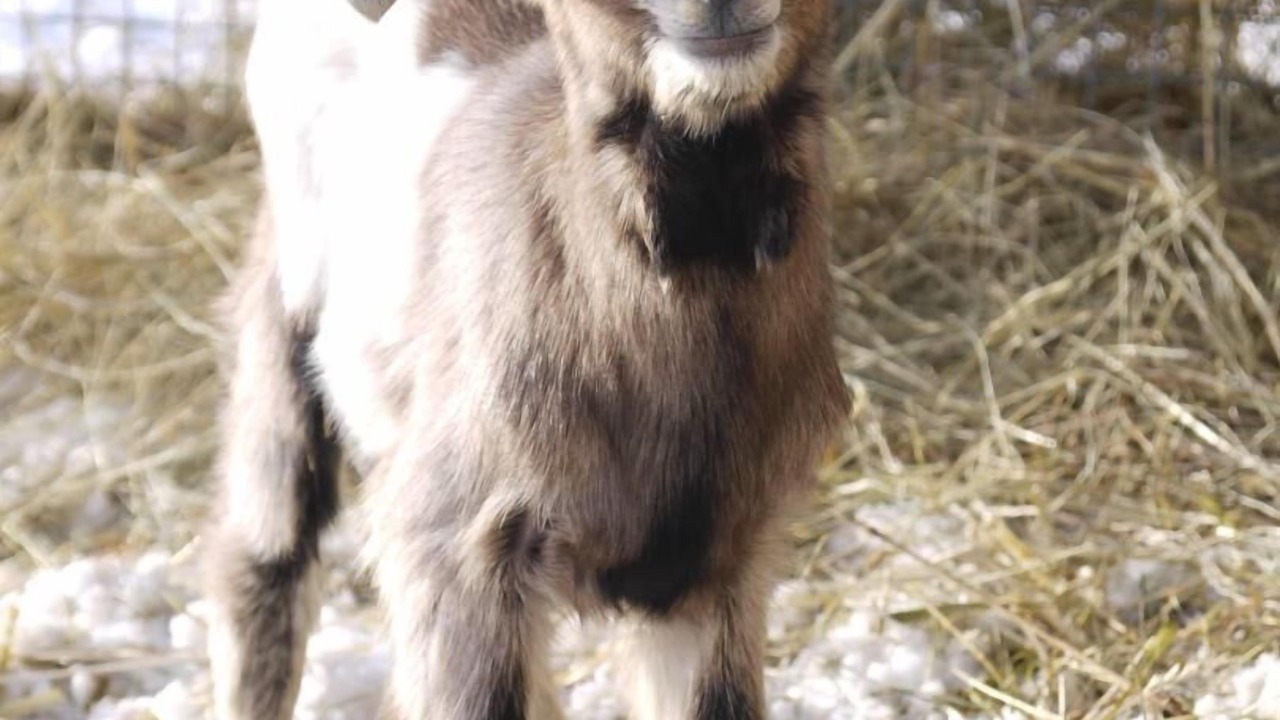 Photo of Outdoor in Montpeyroux