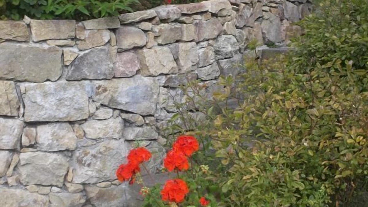 Photo of Outdoor in Saint-Genes-Champanelle