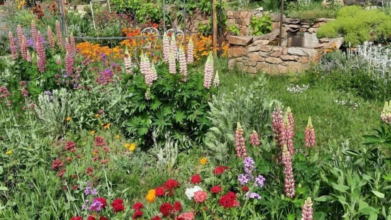 Photo of Outdoor in Saint-Genes-Champanelle