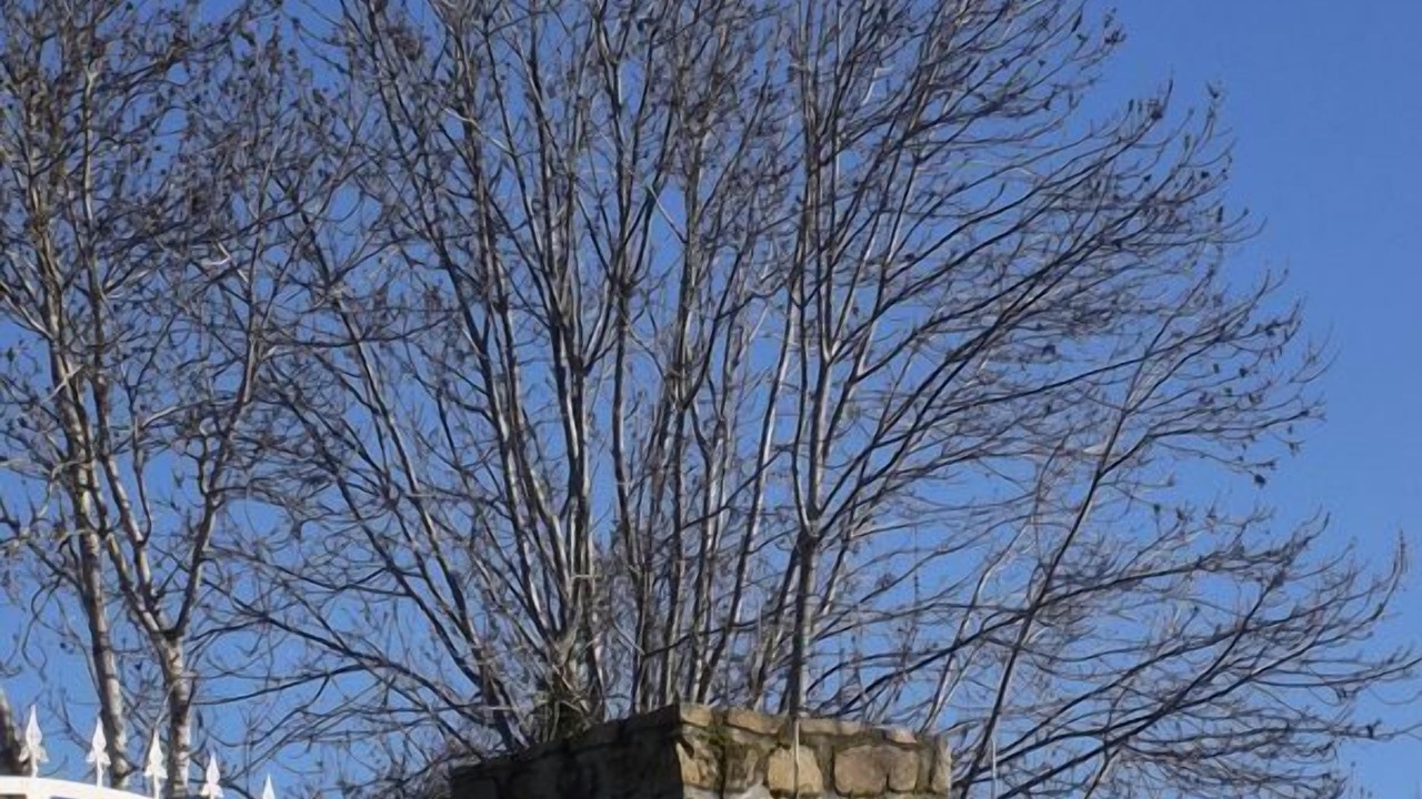 Photo of Outdoor in Saint-Genes-Champanelle