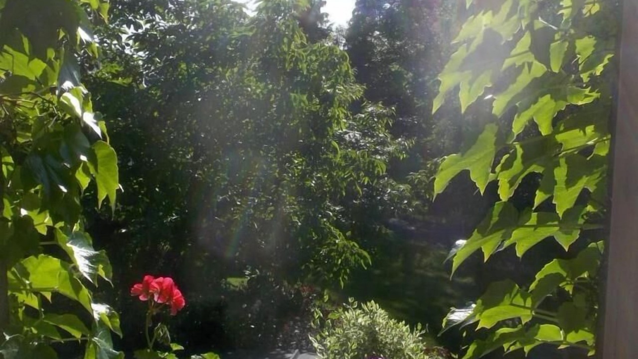 Photo of Outdoor in Saint-Genes-Champanelle