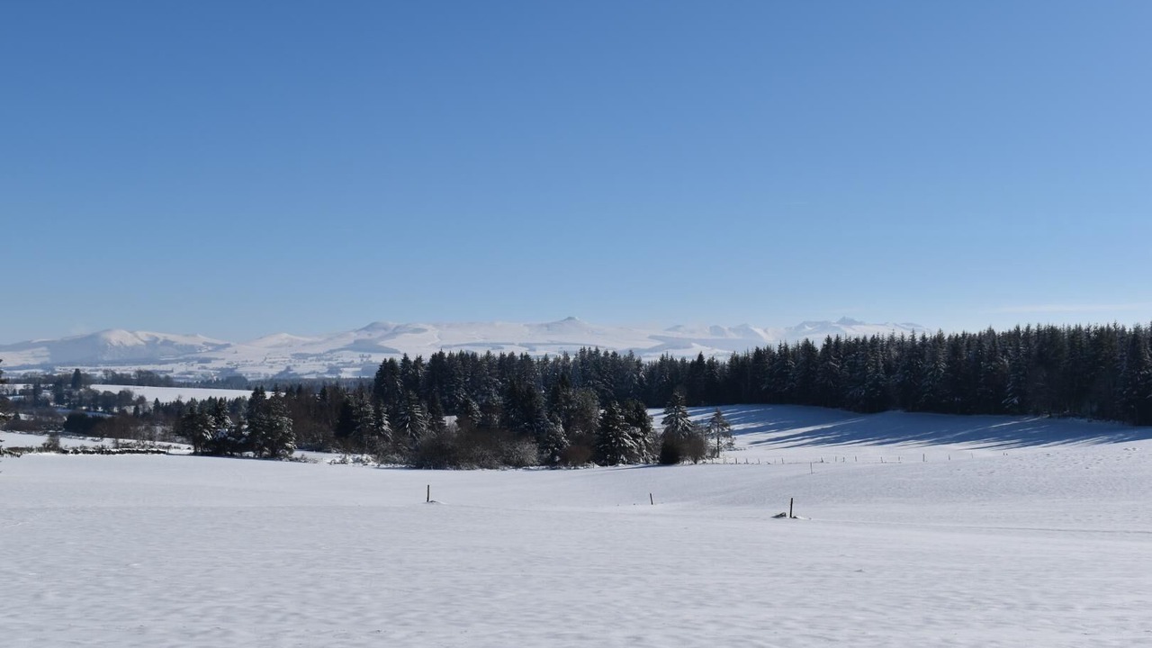 Photo of Others in Briffons