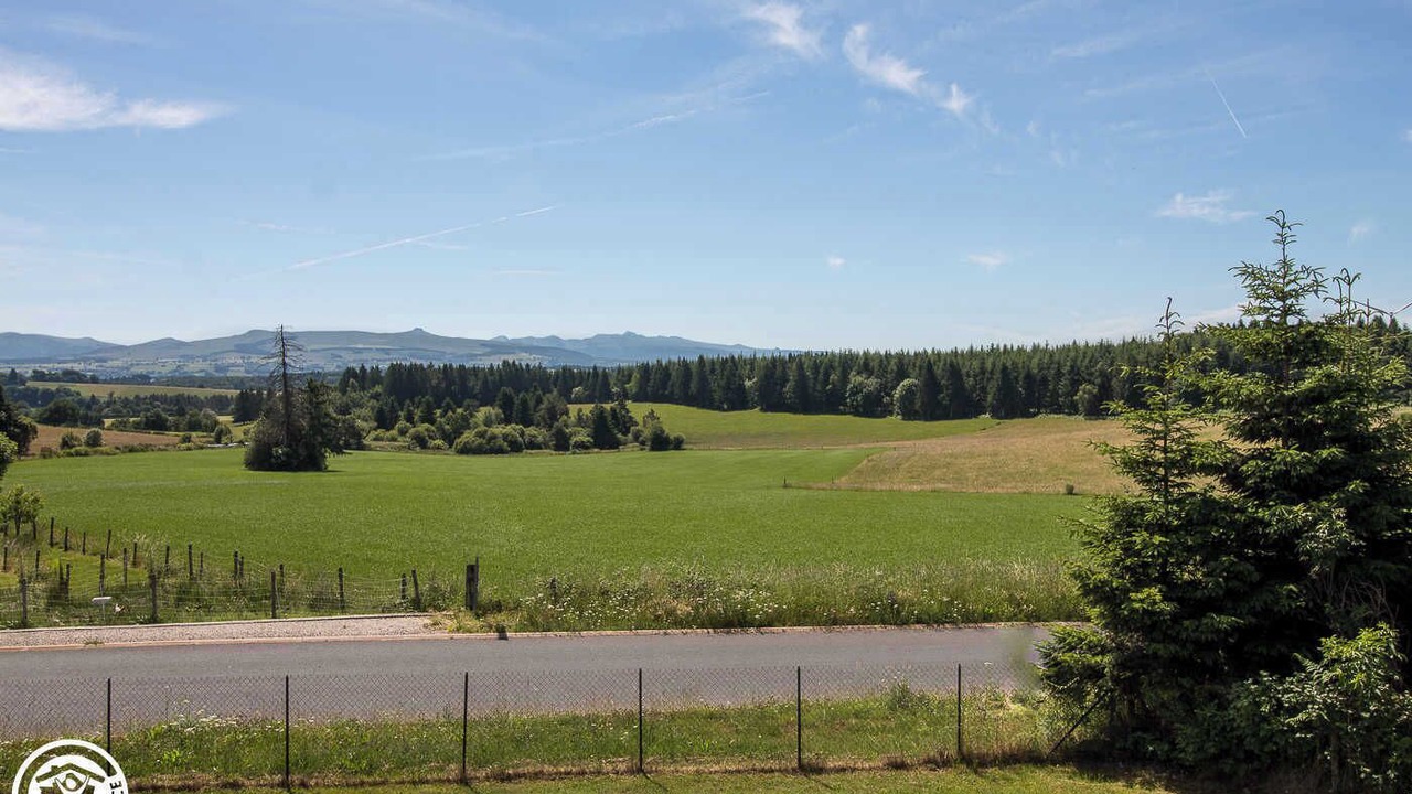 Photo of Others in Briffons