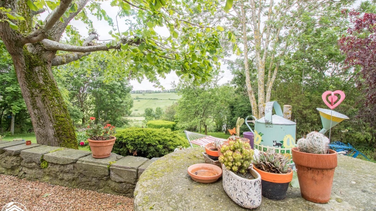 Photo of Outdoor in Saint-Nectaire