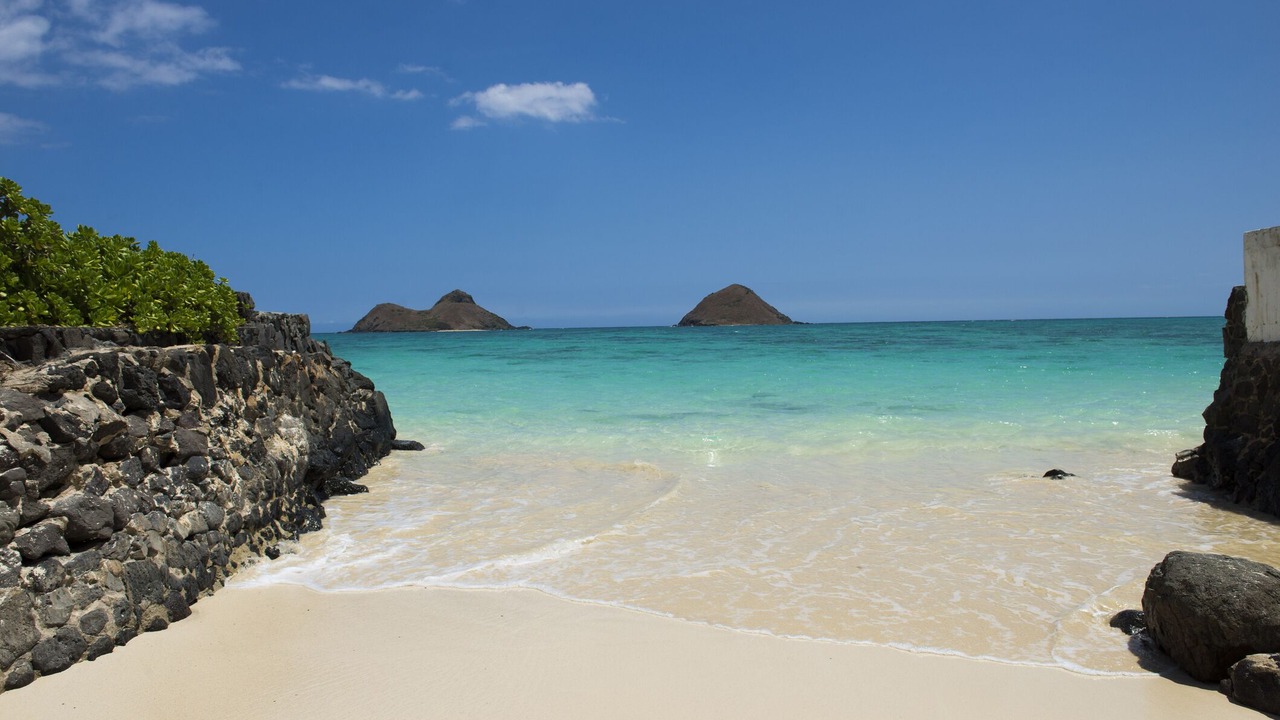 Photo of Others in McCully - Moiliili