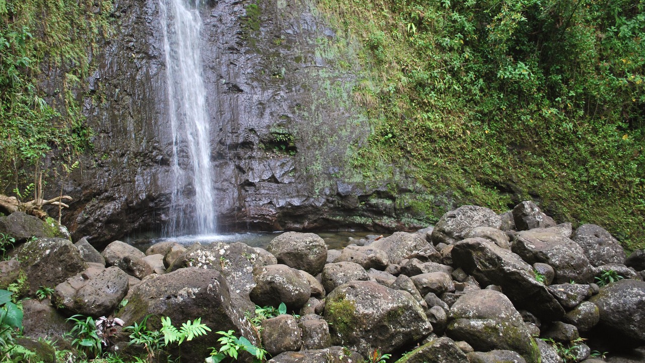 Photo of Outdoor in McCully - Moiliili
