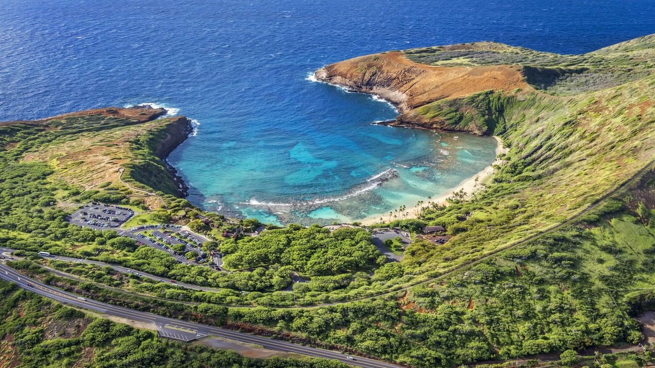 Photo of Outdoor in McCully - Moiliili