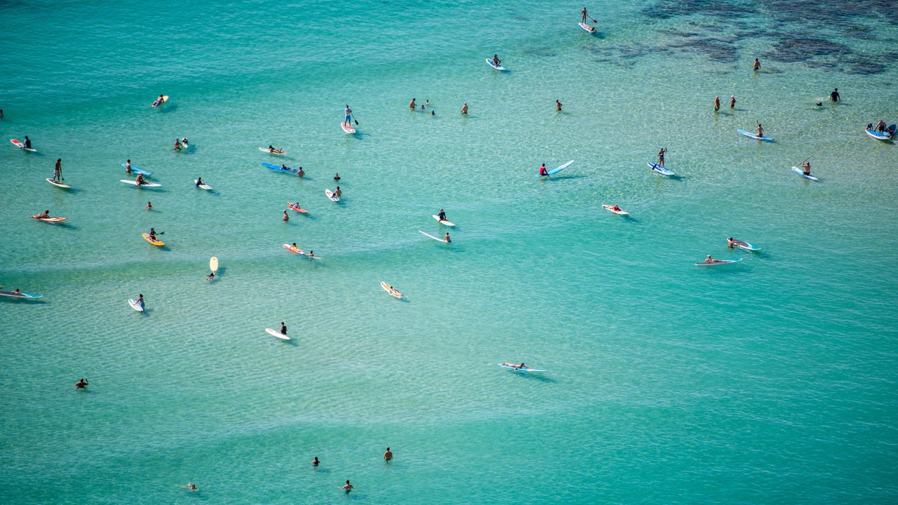 Photo of Outdoor in McCully - Moiliili