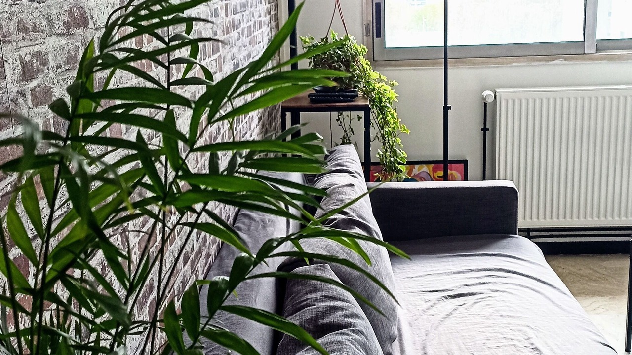 Photo of Others in Venissieux