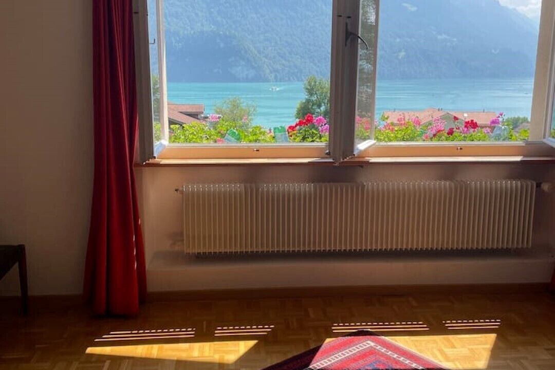 Photo of Others in Brienz