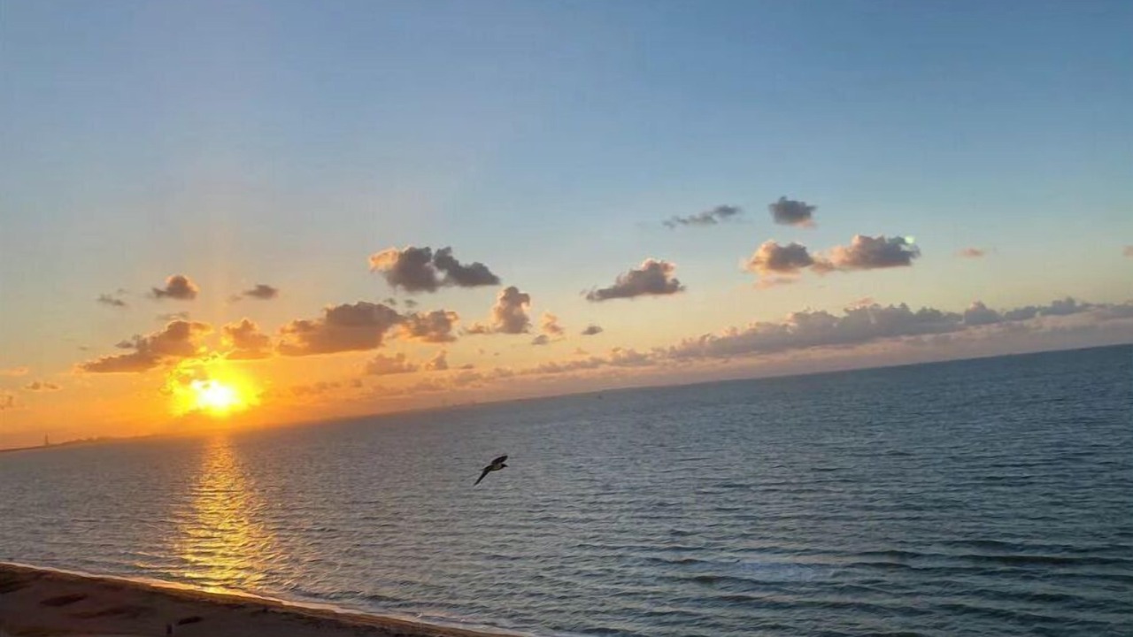 Photo of Others in North Beach