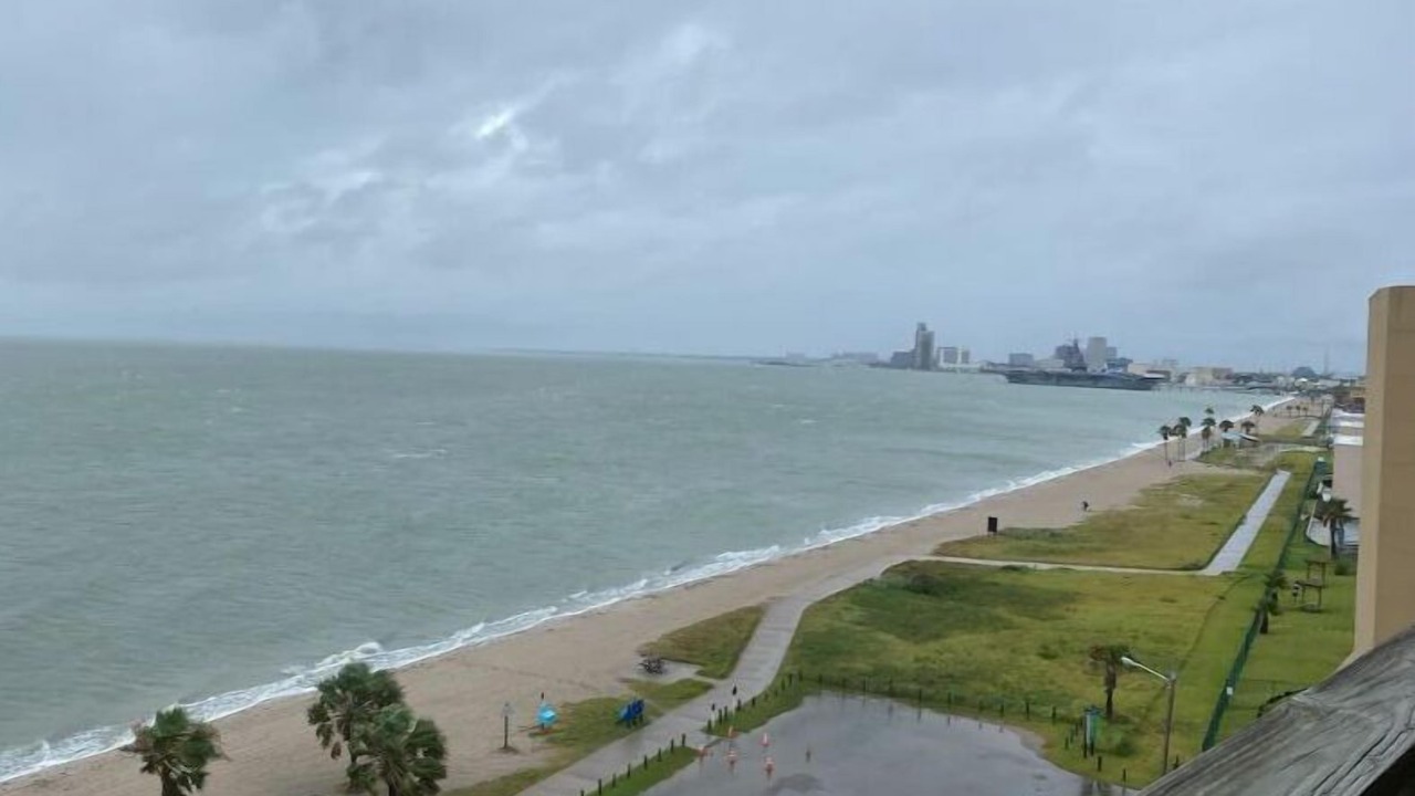 Photo of Others in North Beach