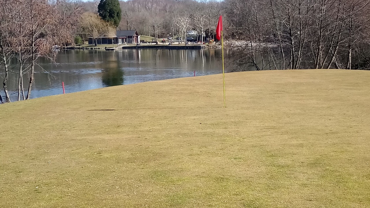 Photo of Others in Lourdes