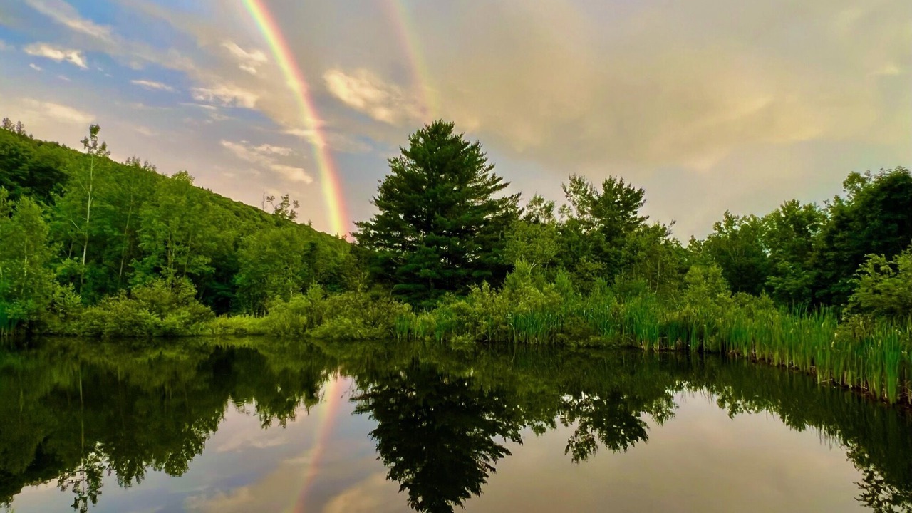 Photo of Others in Long Eddy