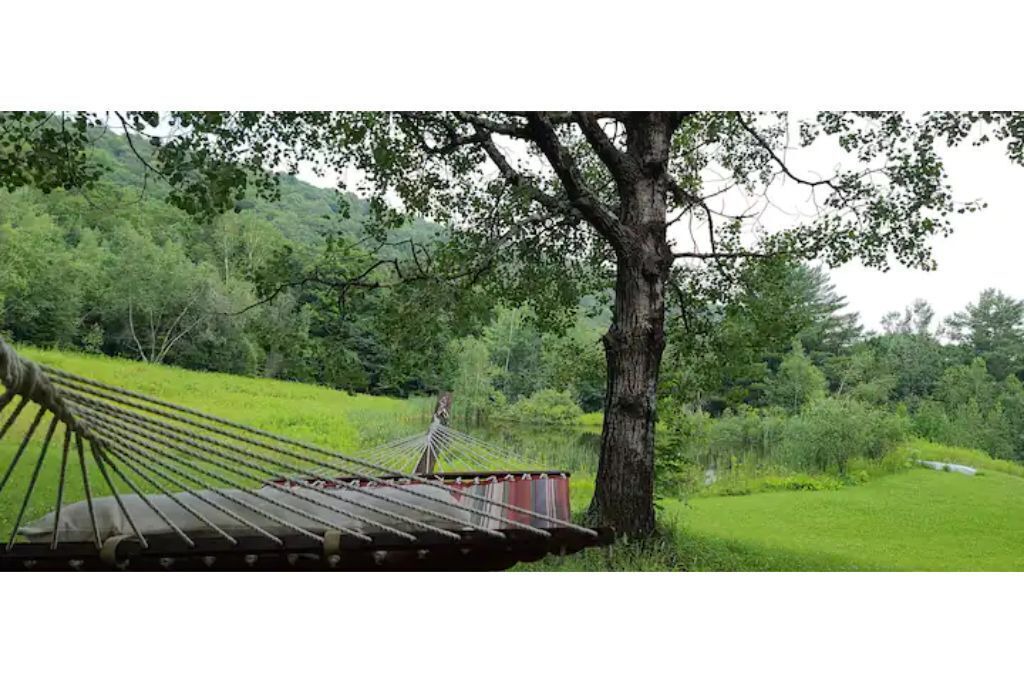 Photo of Others in Long Eddy