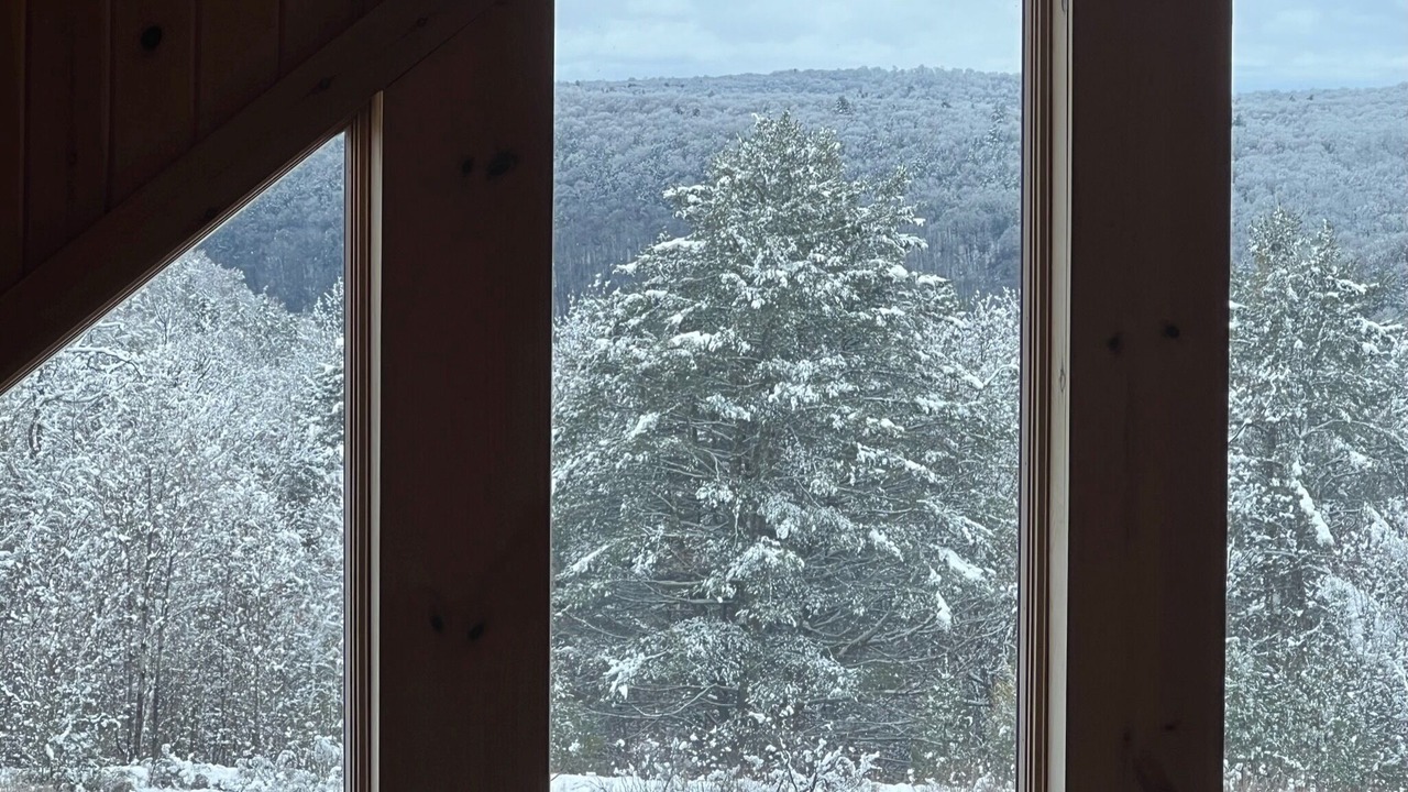 Photo of Bedroom in Long Eddy