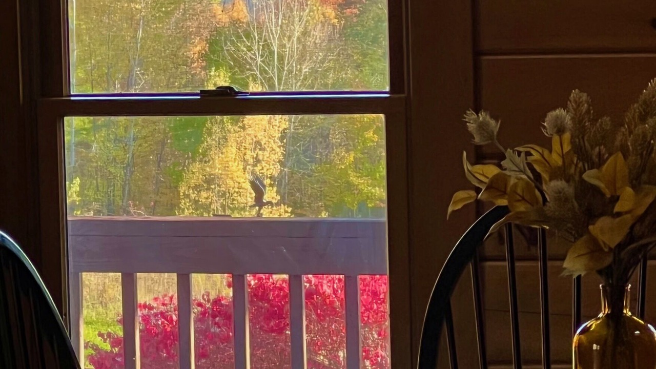 Photo of Others in Long Eddy