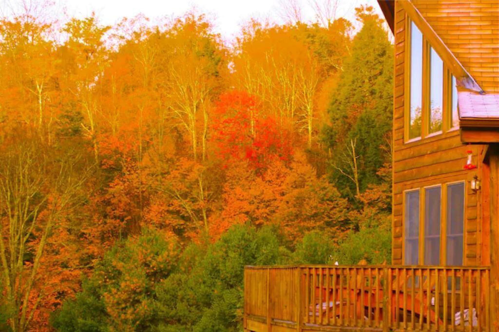 Photo of Others in Long Eddy