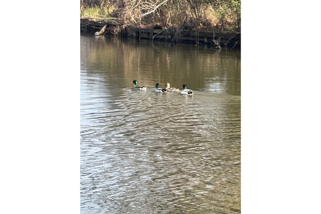Photo of Others in Montgomery