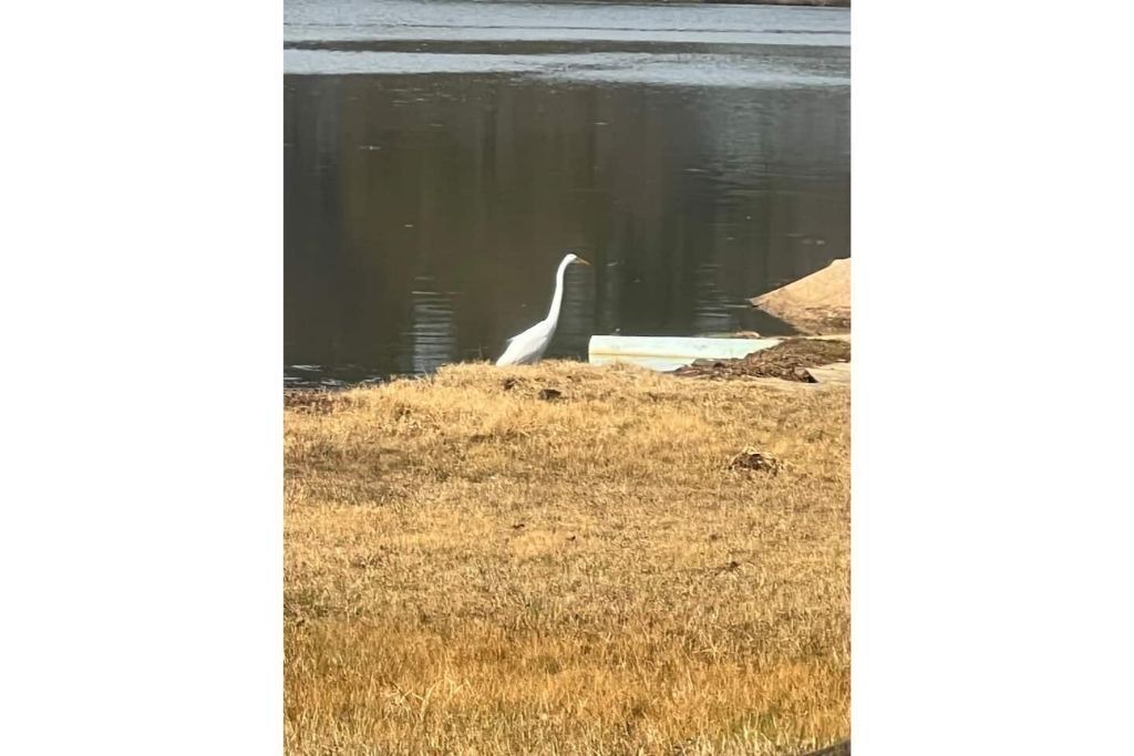 Photo of Others in Montgomery