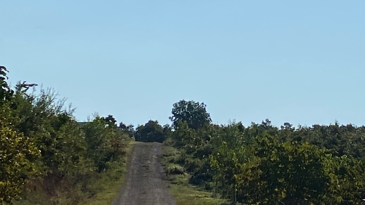 Photo of Outdoor in Bakersfield
