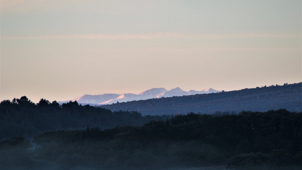 Photo of Outdoor in Escales