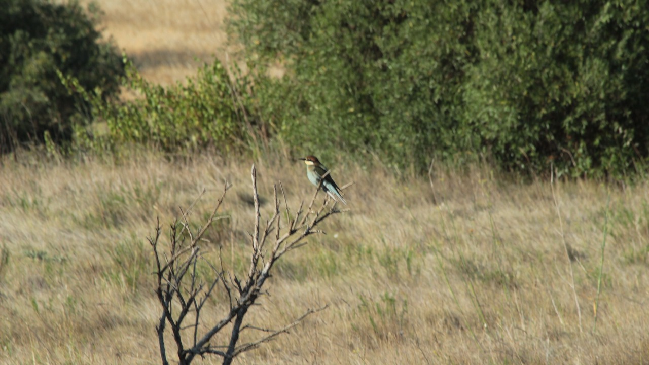Photo of Others in Escales