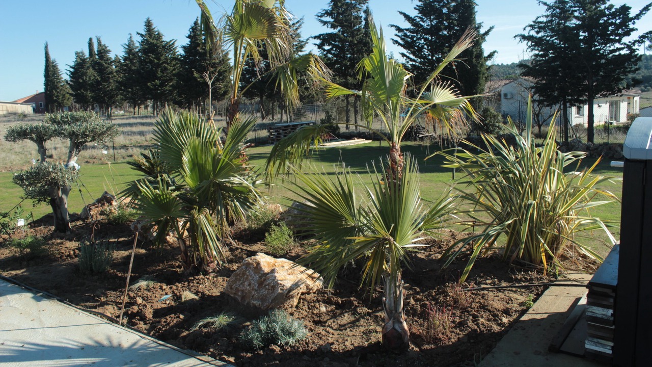 Photo of Outdoor in Escales