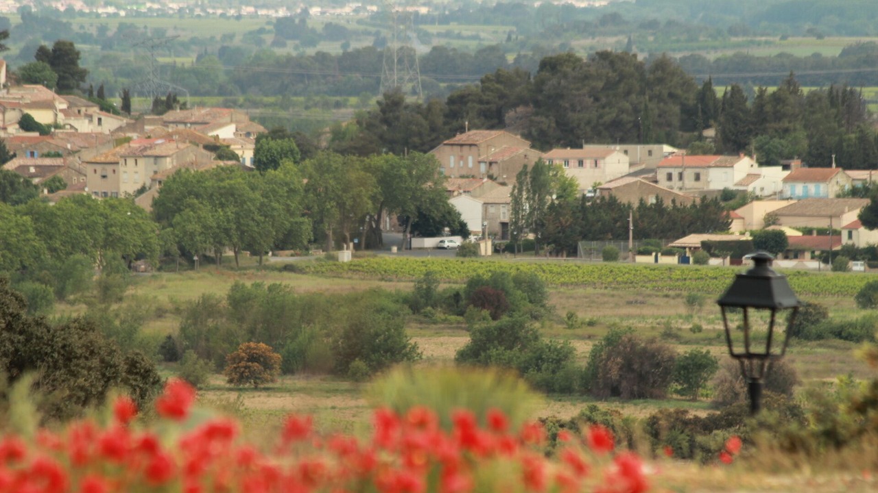 Photo of Outdoor in Escales
