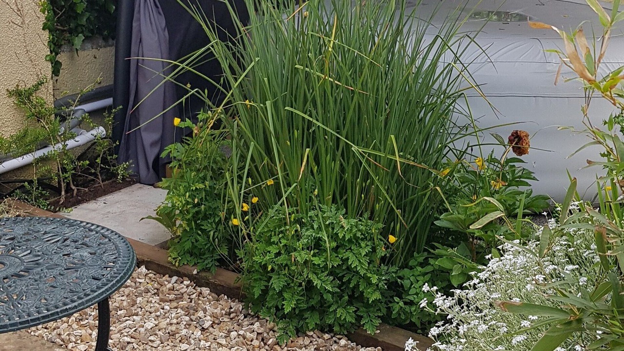 Photo of Patio Balcony in Stoke Gabriel