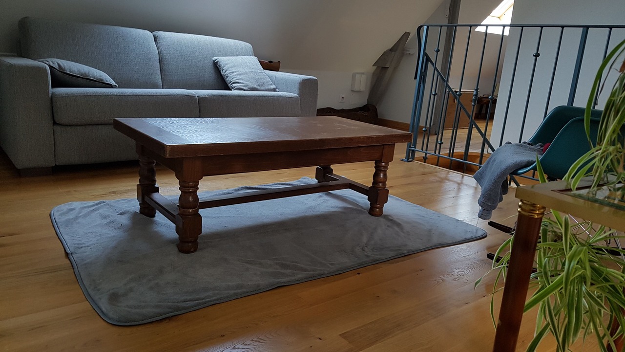 Photo of Livingroom in Lassouts