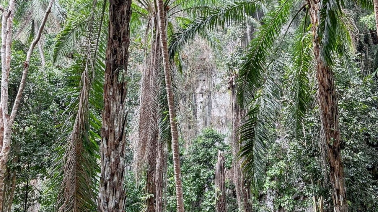 Photo of Outdoor in Breau-et-Salagosse