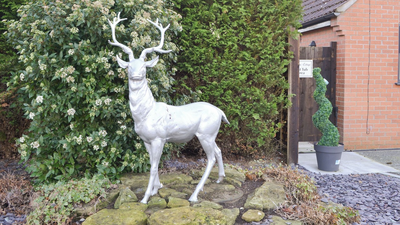 Photo of Outdoor in Wilberfoss