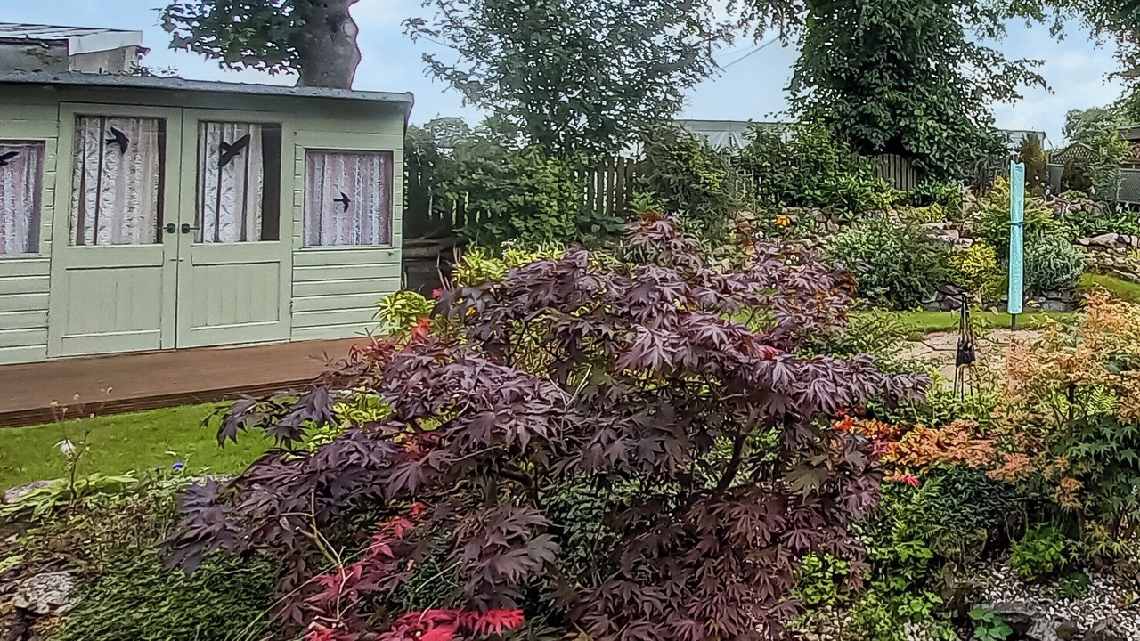 Photo of Outdoor in Biggar