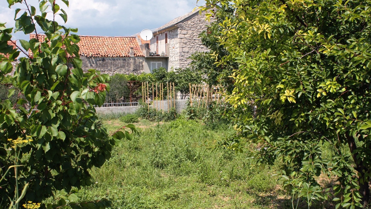 Photo of Outdoor in Susica