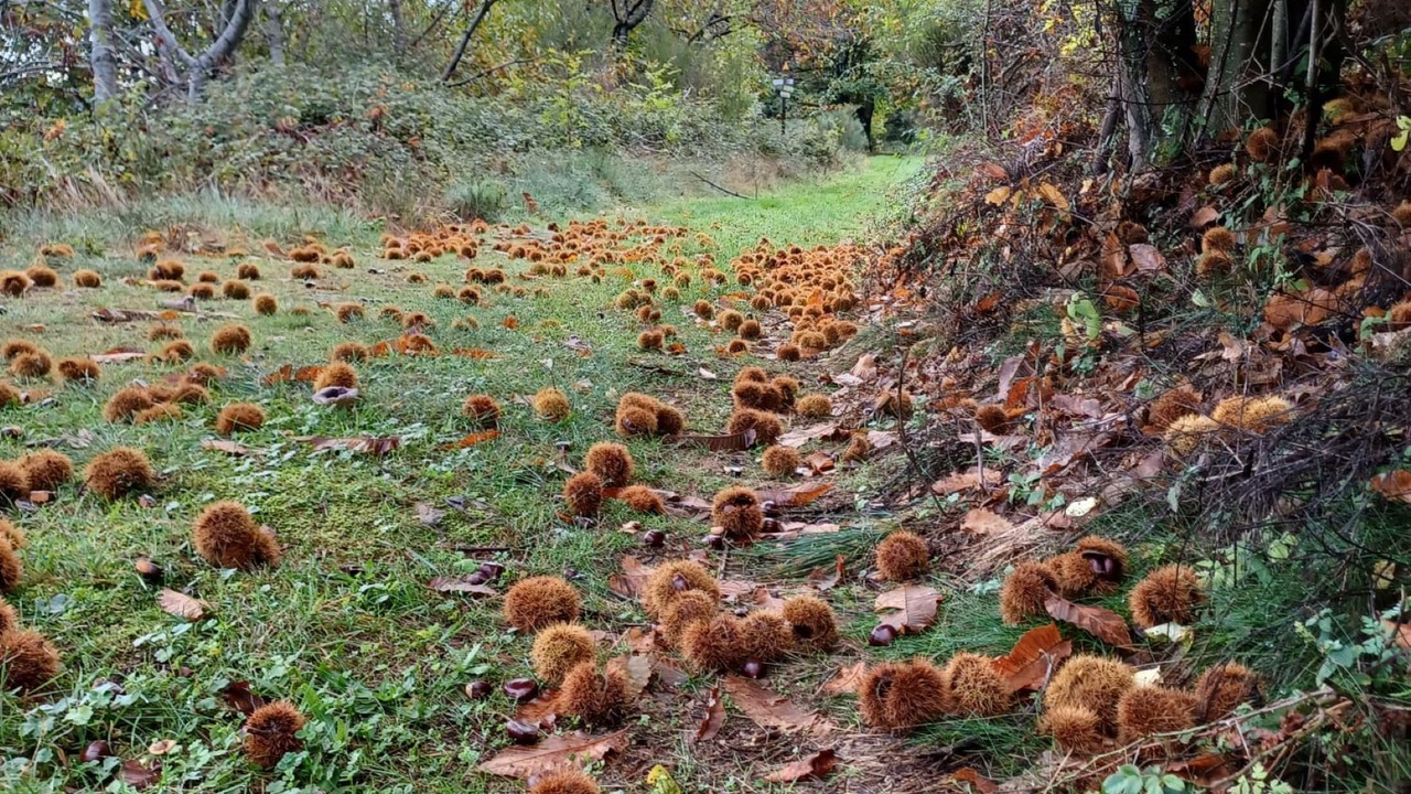 Photo of Outdoor in Juvinas