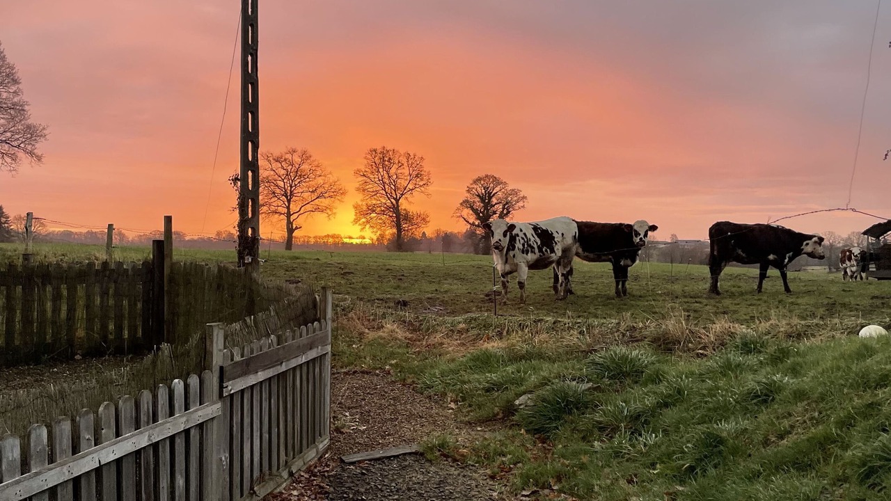 Photo of Outdoor in Le Teilleul
