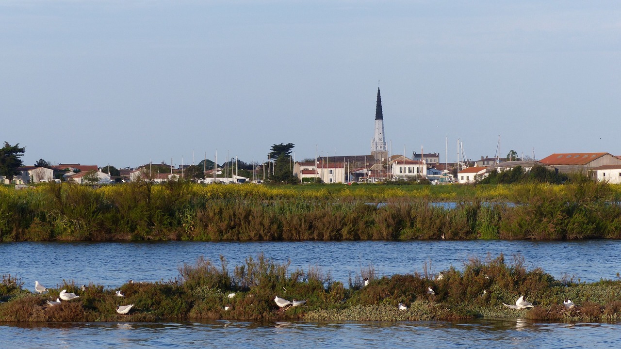 Photo of Others in Sainte-Marie-de-Re