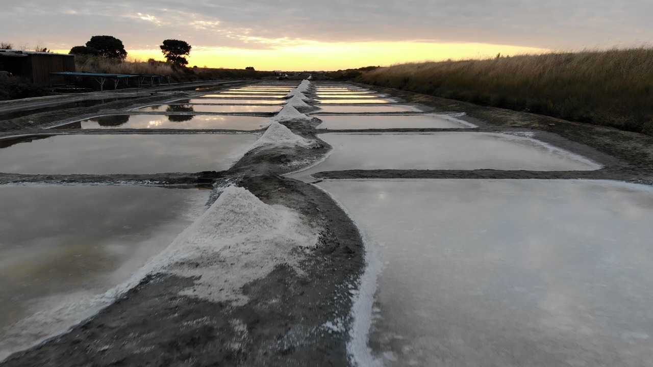 Photo of Outdoor in Sainte-Marie-de-Re