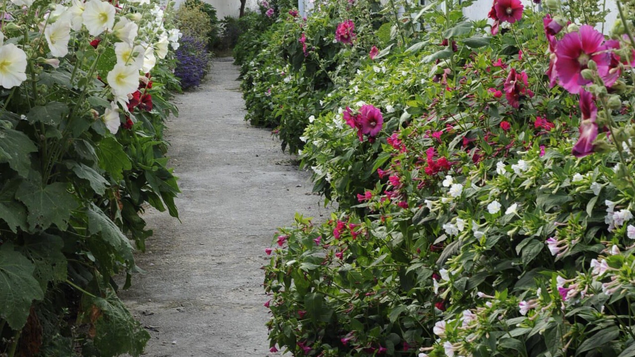 Photo of Outdoor in Sainte-Marie-de-Re