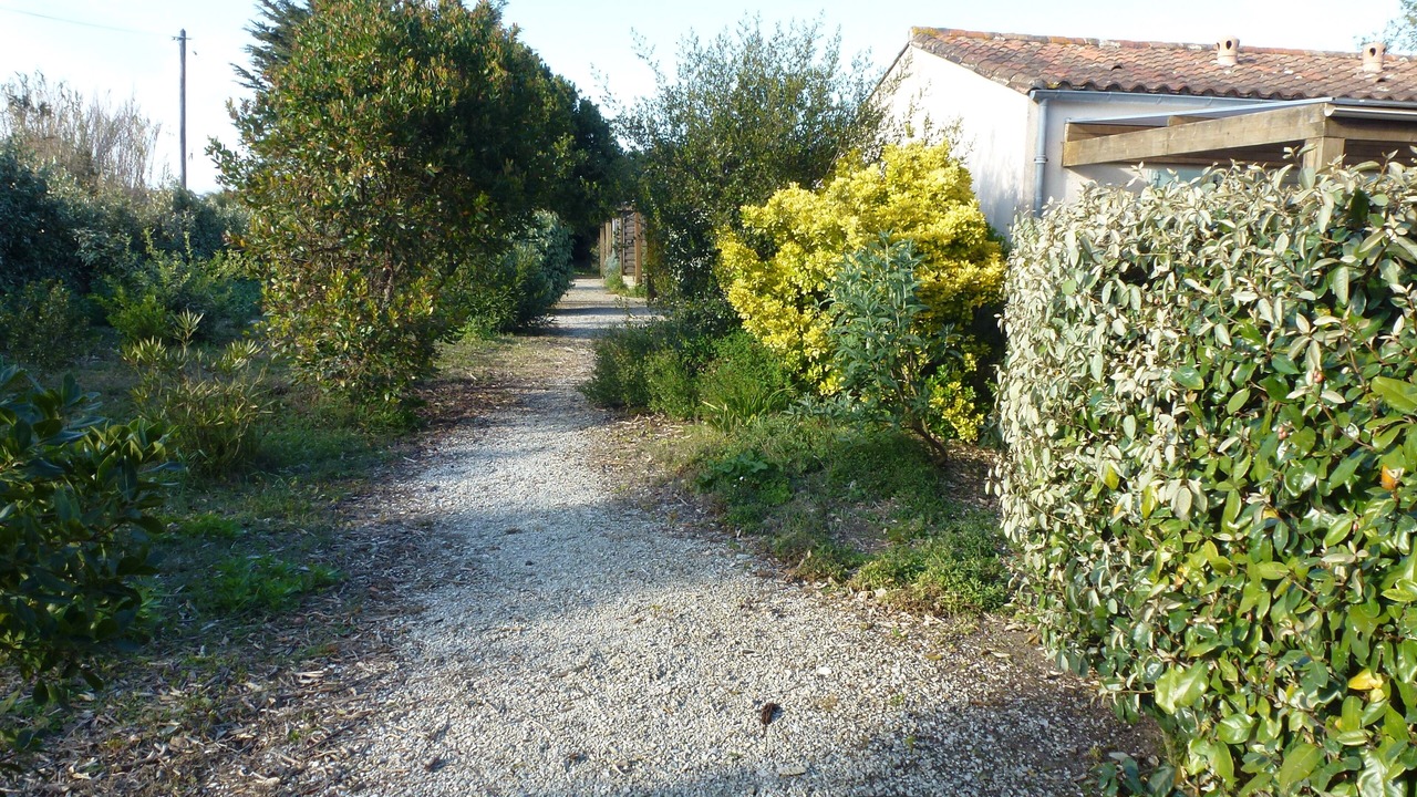 Photo of Outdoor in Sainte-Marie-de-Re