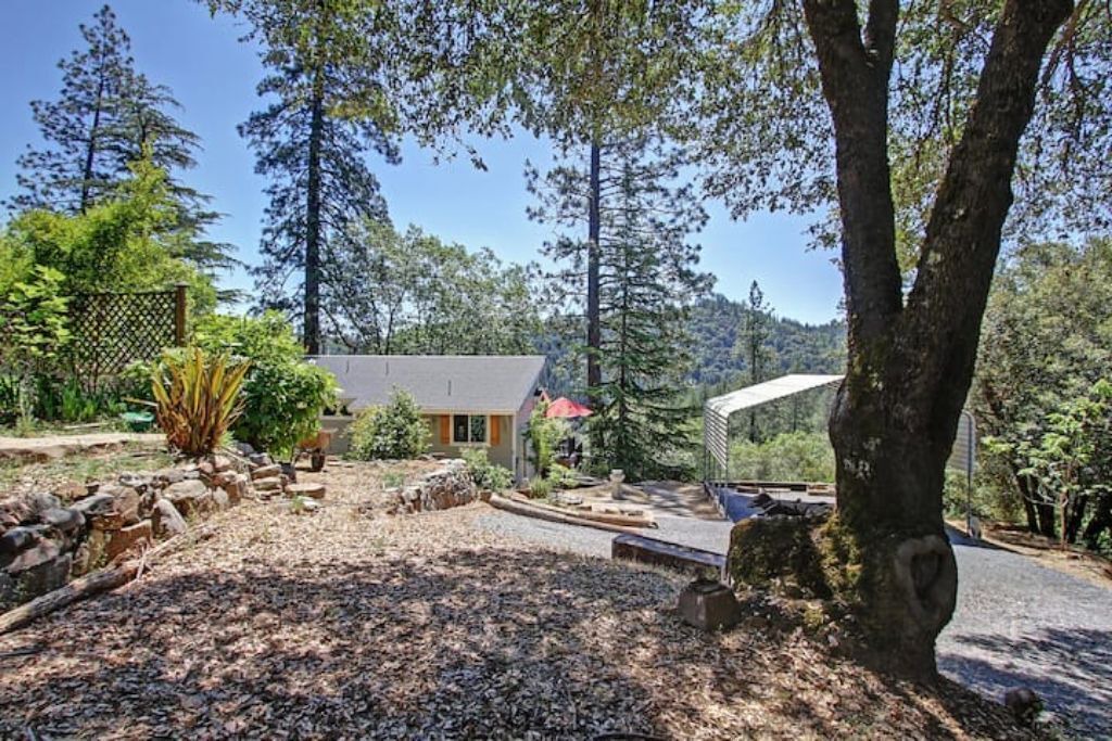 Photo of Outdoor in Iowa Hill