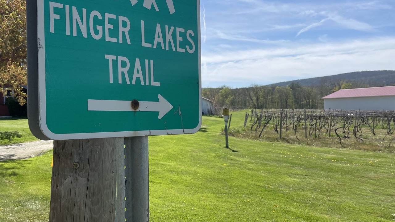 Photo of Outdoor in Hammondsport
