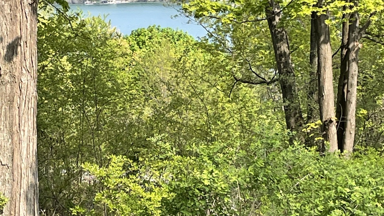 Photo of Outdoor in Hammondsport