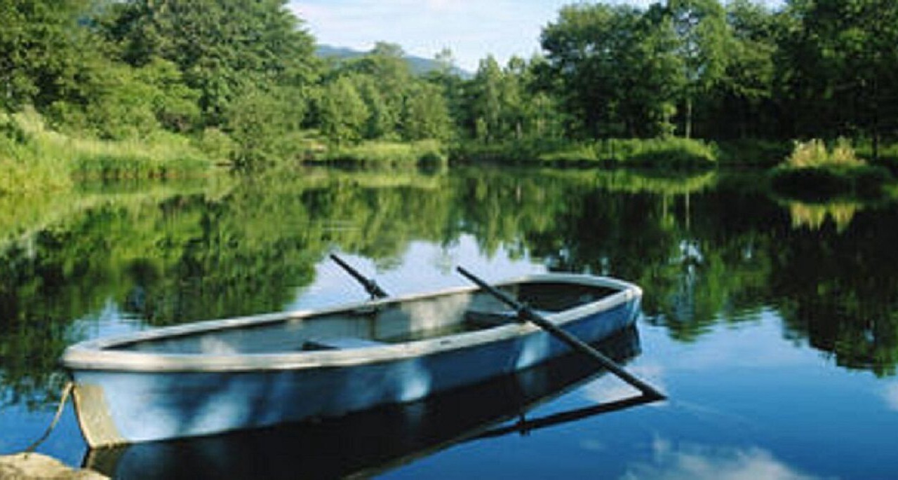 Photo of Others in Milford