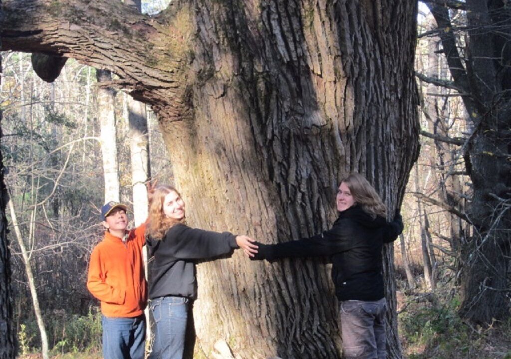 Photo of Others in Milford