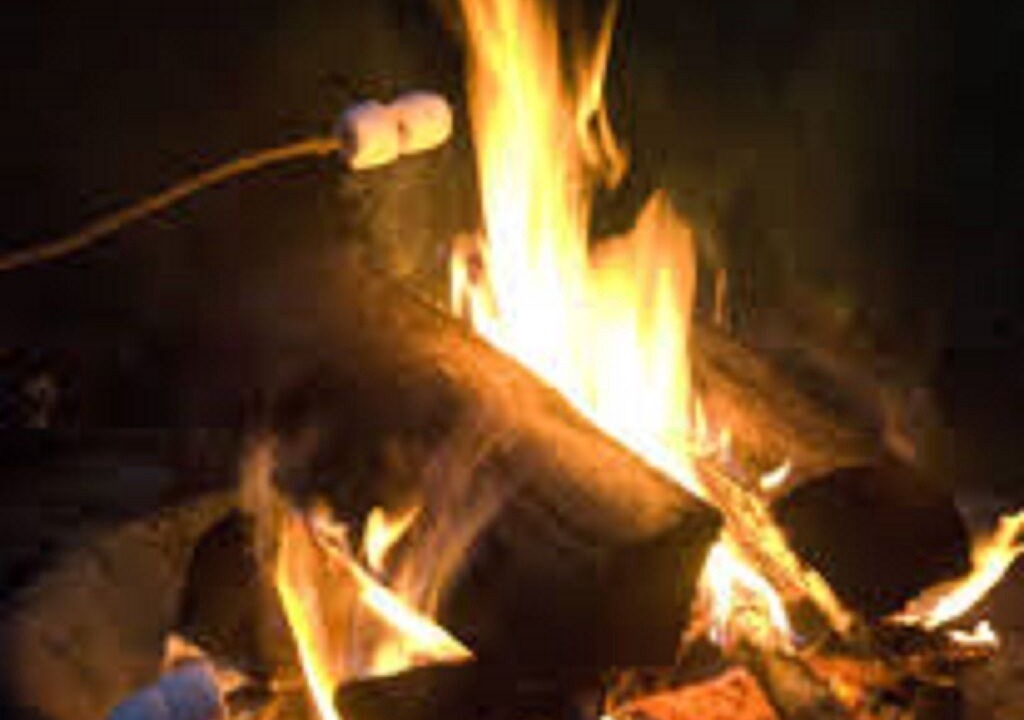 Photo of Others in Milford