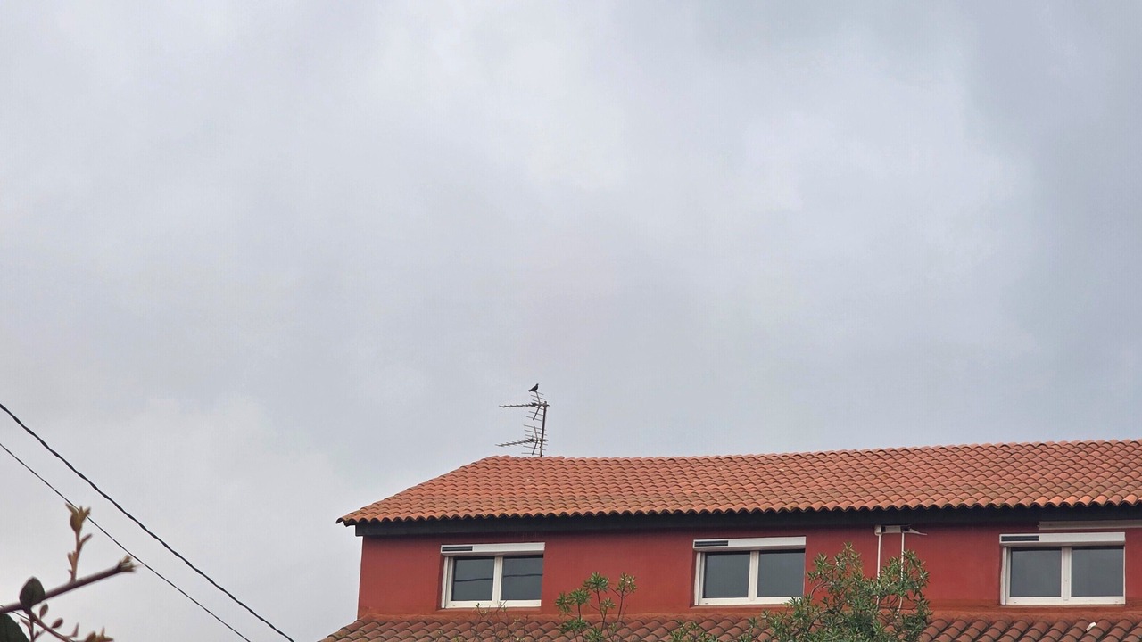 Photo of Outdoor in Le Barcares